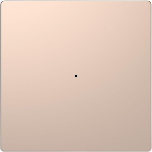 Клавиша одинарная Merten D-Life PlusLink без символов SD шампань SchE MTN5210-6051