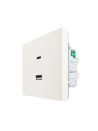 Розетка СП ZIMA IP20 Type-C + USB механизм сл. кость LEZARD 704-9088-192TC