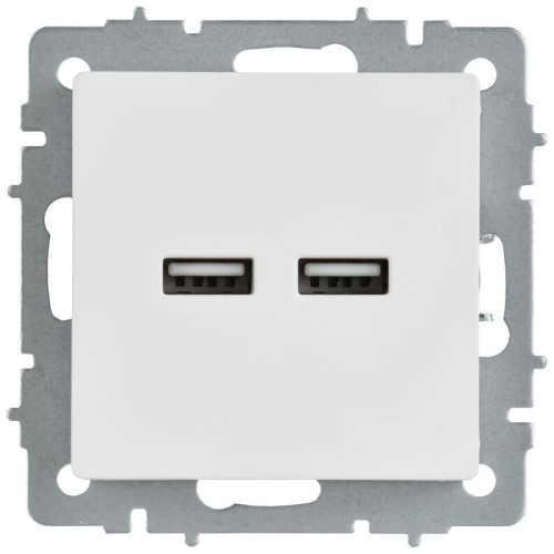 Розетка BRITE РЮ10-1-БрАБ USB A+A 3.1А механизм арктич. бел. IEK BR-U21-D31-K91