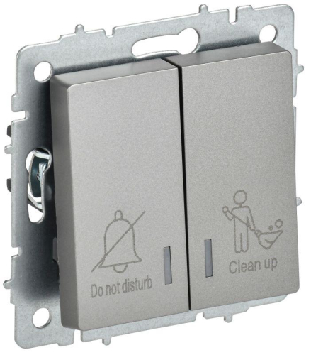 Выключатель 2-кл. BRITE 10А ВС10-2-9-БрС для отелей с индик. механизм сталь IEK BR-V20-2-10-K46