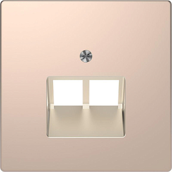 Накладка центральная Merten D-Life для розетки компьютерной 2-м RJ45 SD шампань SchE MTN4522-6051