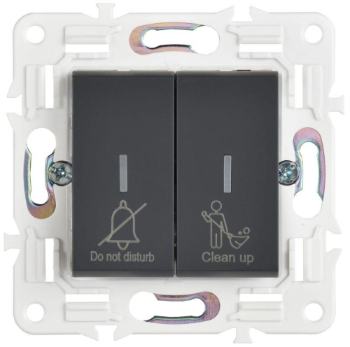 Выключатель 2-кл. SKANDY 10А SK-V16G для отелей с индикацией графит IEK SK-V20-2-10-K53