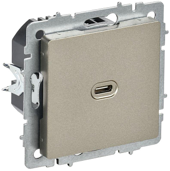 Розетка СП BRITE USB C 65Вт высокоскор. заряд. РЮ12-1-БрШ шампань IEK BR-U13-065-K37