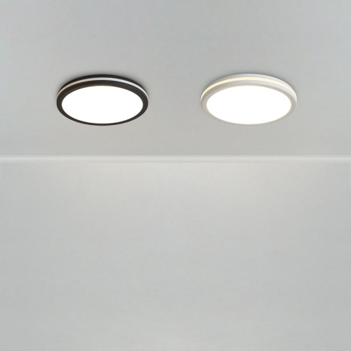 Светильник Rua 40Вт IP65 потолочн. Freya FR6160CL-L40B