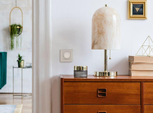 Механизм светорегулятора поворотного СП Etika 300Вт без нейтрали сл. кость IEK 672319