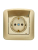 Розетка 1-м СП ASTI 16А IP20 с заземл. с крышкой термопласт в сборе золото. LEZARD 7081-3636-123В