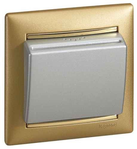 Рамка 1-м Valena матов. зол. Leg 770301