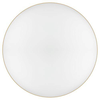 Светильник светодиодный Relict 48 Pult SPB-6-60-RC MG 60Вт 3000-6500К потолочный с ДУ золото ЭРА Б0059498