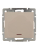 Выключатель 1-кл. СП Rain IP20 с подсветкой механизм крем. LEZARD 703-0388-111 Выключатель 1-кл. СП Rain IP20 с подсветкой механизм крем. LEZARD 703-0388-111