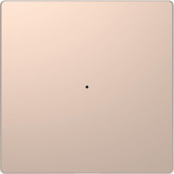 Клавиша одинарная Merten D-Life PlusLink без символов SD шампань SchE MTN5210-6051