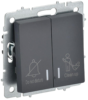 Выключатель 2-кл. BRITE 10А ВС10-2-9-БрГ для отелей с индик. механизм графит IEK BR-V20-2-10-K53