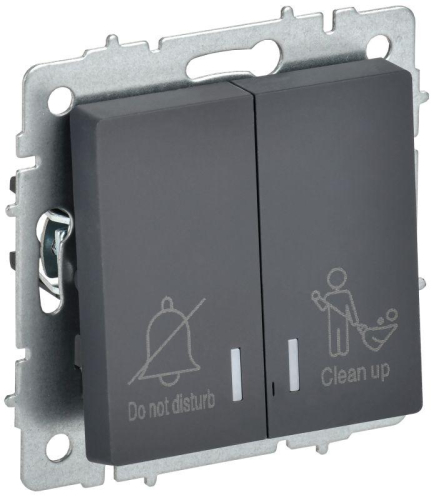 Выключатель 2-кл. BRITE 10А ВС10-2-9-БрГ для отелей с индик. механизм графит IEK BR-V20-2-10-K53