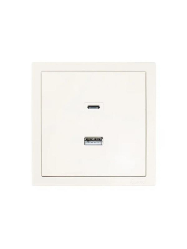 Розетка СП ZIMA IP20 Type-C + USB механизм сл. кость LEZARD 704-9088-192TC