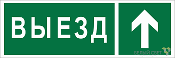 Знак безопасности BL-6020B.N06 "Направление к воротам выезда прямо" Белый свет a22449