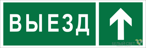 Знак безопасности BL-6020B.N06 "Направление к воротам выезда прямо" Белый свет a22449