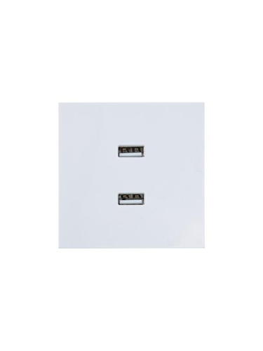 Розетка 2-м СП ZIMA IP20 USB механизм бел. LEZARD 704-0288-192