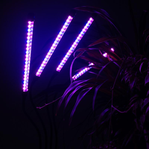 Светильник светодиодный «КРИСТАЛЛ» CTL2-USB-bl Agro для растений спектр 4 плафона по 10Вт на прищепке пульт на шнуре IP40 красн./син. ФАZА 5068810