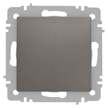 Выключатель Accent 6-101-09 10А-250В IP20 СУ AL/CU титан Intro Б0063440