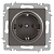 Розетка Accent 6-202-09 2P+E Schuko 16А-250В IP20 СУ титан Intro Б0063701