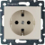 Розетка 1-м СП Valena 16А IP21 230/250В 2P+E с заземл. защ. шторки на винтах механизм сл. кость Leg 774321 Розетка 1-м СП Valena 16А IP21 230/250В 2P+E с заземл. защ. шторки на винтах механизм сл. кость Leg 774321