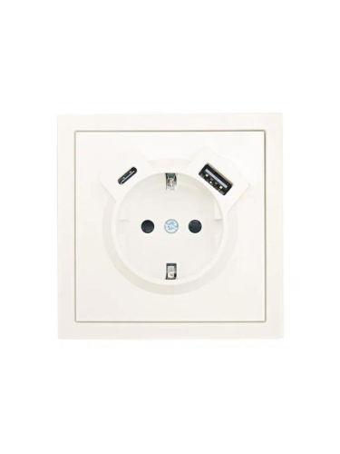 Розетка 1-м СП ZIMA IP20 Type-C + USB с заземл. механизм сл. кость LEZARD 704-9088-181TC