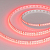 Лента светодиодная RT-A120-8mm 24V Red 9.6Вт/м IP20 2835 (уп.5м) Arlight 008781(2)