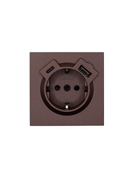 Розетка 1-м СП ZIMA IP20 Type-C + USB с заземл. механизм шоколад LEZARD 704-7388-181TC