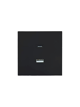 Розетка СП ZIMA IP20 Type-C + USB механизм черн. бархат LEZARD 704-4288-192TC