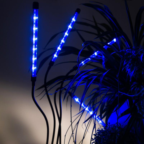 Светильник светодиодный «КРИСТАЛЛ» CTL2-USB-bl Agro для растений спектр 4 плафона по 10Вт на прищепке пульт на шнуре IP40 красн./син. ФАZА 5068810