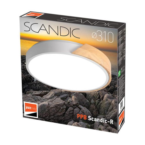Светильник светодиодный декоративный PPB Scandic-R 24Вт 4000К IP20 настенно-потолочный бытовой WH/W JazzWay 5036932