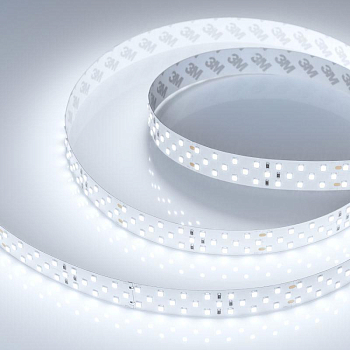 Лента светодиодная RT-A252-19mm 24V White 6000К 27Вт/м IP20 2835 (уп.5м) Arlight 019925(2)