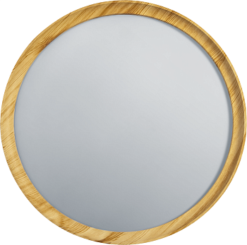 Светильник светодиодный 93 457 NLF-C-024-01 NAVIGATOR 93457