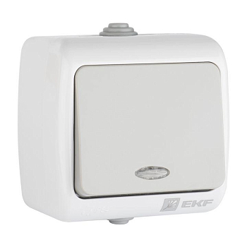 Выключатель 1-кл. ОП Мурманск 10А IP54 с индикатором сер. EKF EFV10-121-30-54