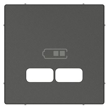 Накладка центральная Merten для механизма USB 2.1А SM антрацит SchE MTN4367-0414