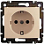 Розетка 1-м СП Valena 16А IP21 250В 2P+E защ. шторки безвинт. клеммы сл. кость IEK 774122