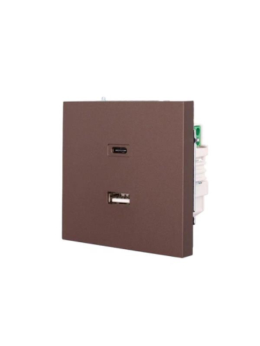 Розетка СП ZIMA IP20 Type-C + USB механизм шоколад LEZARD 704-7388-192TC