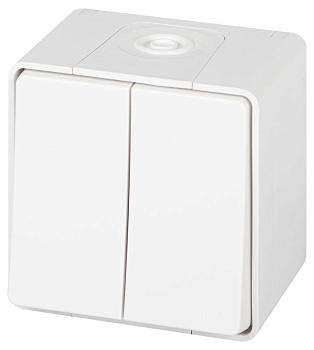 Выключатель Эксперт 11-1504-01 двойн. IP55 10АХ-250В ОУ бел. Эра Б0063257