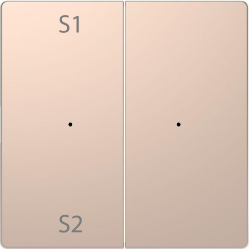 Клавиша двойная Merten D-Life PlusLink с S1/S2 пусто SD шампань SchE MTN5226-6051