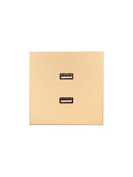 Розетка 2-м СП ZIMA IP20 USB механизм зол. LEZARD 704-3688-192