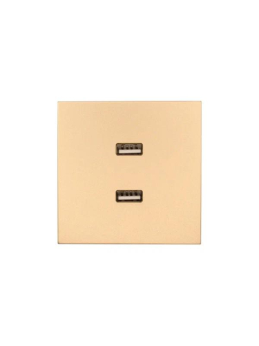 Розетка 2-м СП ZIMA IP20 USB механизм зол. LEZARD 704-3688-192
