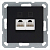 Розетка компьютерная 2-м RJ45 IP20 кат. 5E механизм черн. матов. soft touch Jasmart G6106PB