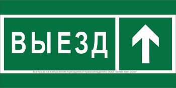 Знак безопасности BL-3517.N06 "Направление к воротам выезда прямо" Белый свет a20076