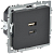 Розетка СП BRITE USB A+C 45Вт высокоск. заряд. РЮ11-2-БрГ графит IEK BR-U22-045-K53