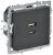 Розетка СП BRITE USB A+C 45Вт высокоск. заряд. РЮ11-2-БрГ графит IEK BR-U22-045-K53