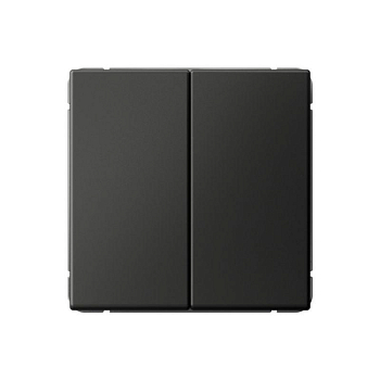 Переключатель 2-кл. ArtGallery 10AX быстрозажим. клем. механизм базальт SE GAL001465S