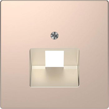 Накладка центральная Merten D-Life для розетки компьютерной 1-м RJ45 SD шампань SchE MTN4521-6051