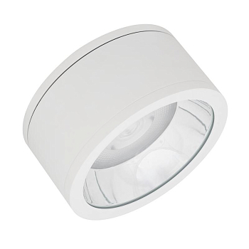 Светильник светодиодный DOWNLIGHT SURFACE ДПО 45Вт 3000К IP65 CRI80 угол 60град. d250мм бел. LEDVANCE 4058075769298