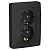 Розетка 2-м СП Blanca 16А IP20 250В с заземл. защ. шторки антрацит SE BLNRS001126