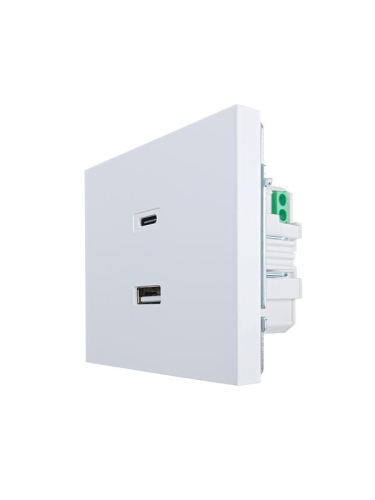 Розетка СП ZIMA IP20 Type-C + USB механизм бел. LEZARD 704-0288-192TC