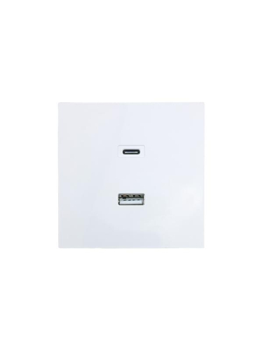 Розетка СП ZIMA IP20 Type-C + USB механизм бел. LEZARD 704-0288-192TC